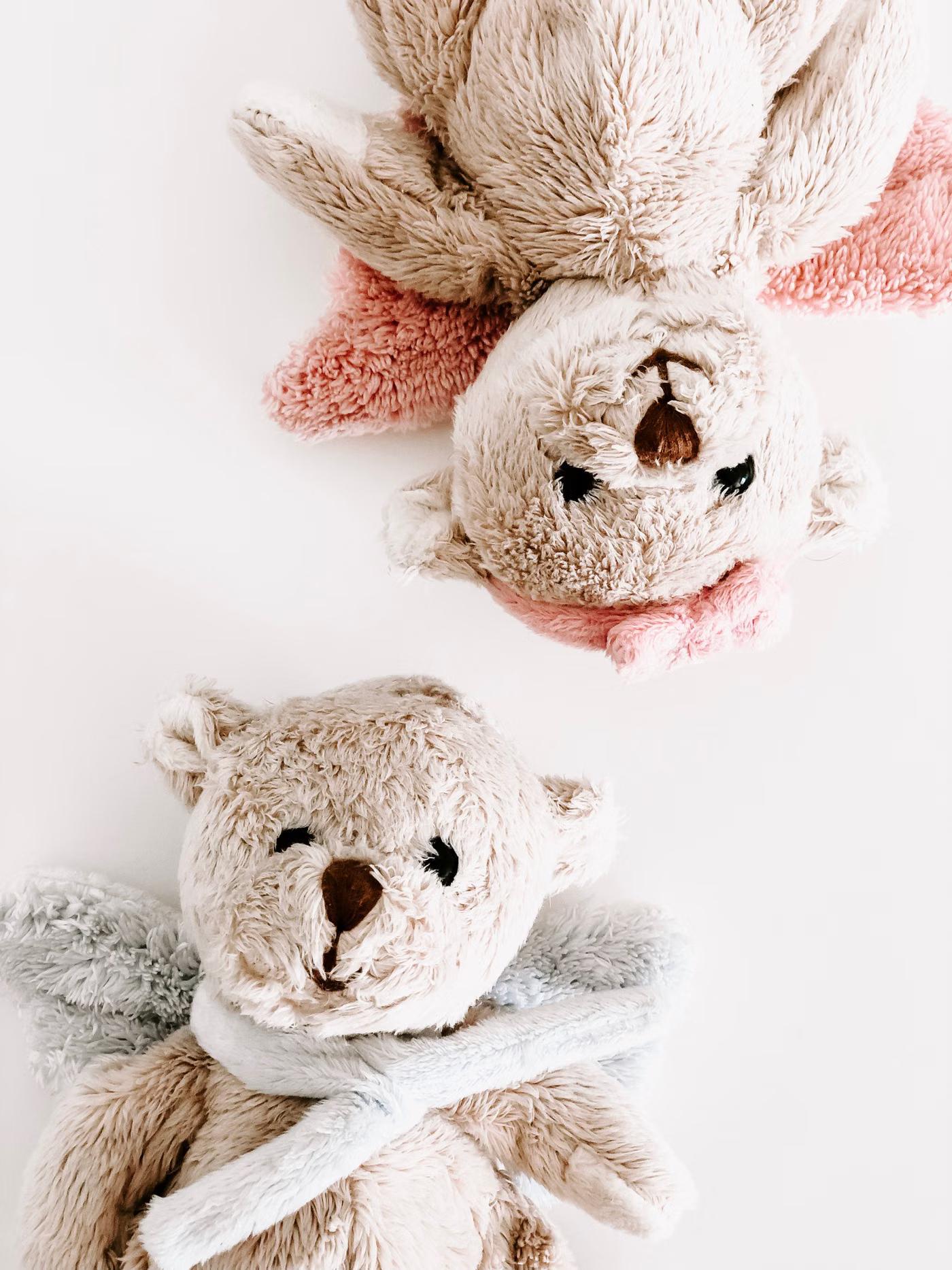 Atkılı İkiz Peluş Ayı